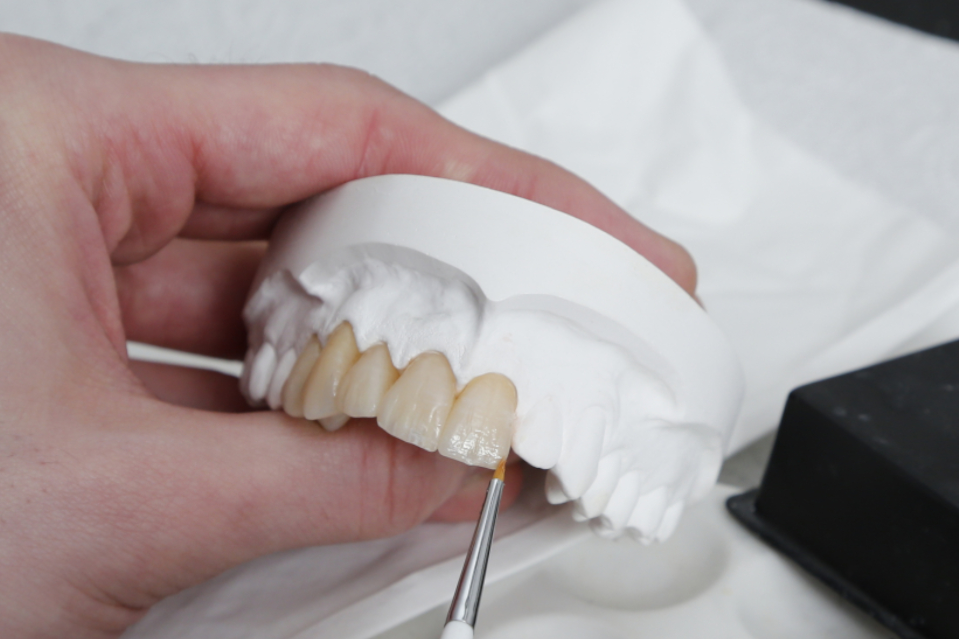 Dentalmodell und Präzisionswerkzeuge